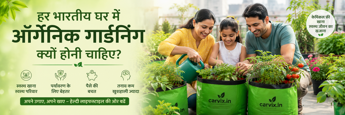 ऑर्गेनिक गार्डनिंग परिवार संग स्वस्थ जीवन