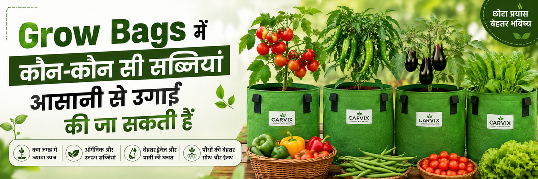 Grow Bags में कौन-कौन सी सब्जियां आसानी से उगाई जा सकती हैं