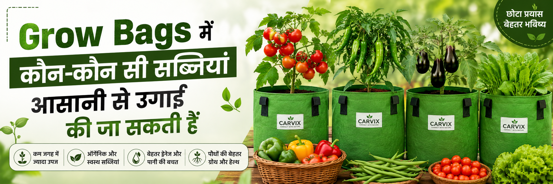 Grow Bags में कौन-कौन सी सब्जियां आसानी से उगाई जा सकती हैं