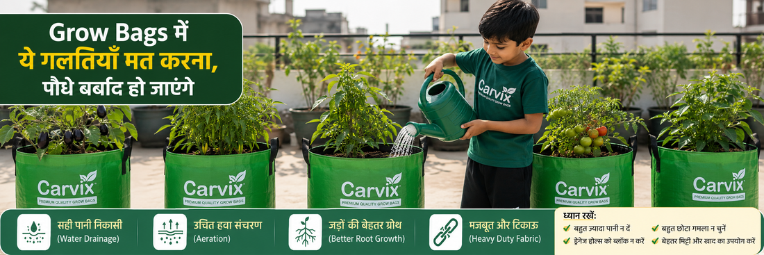 Grow Bags में ये गलतियाँ मत करना, पौधे बर्बाद हो जाएंगे