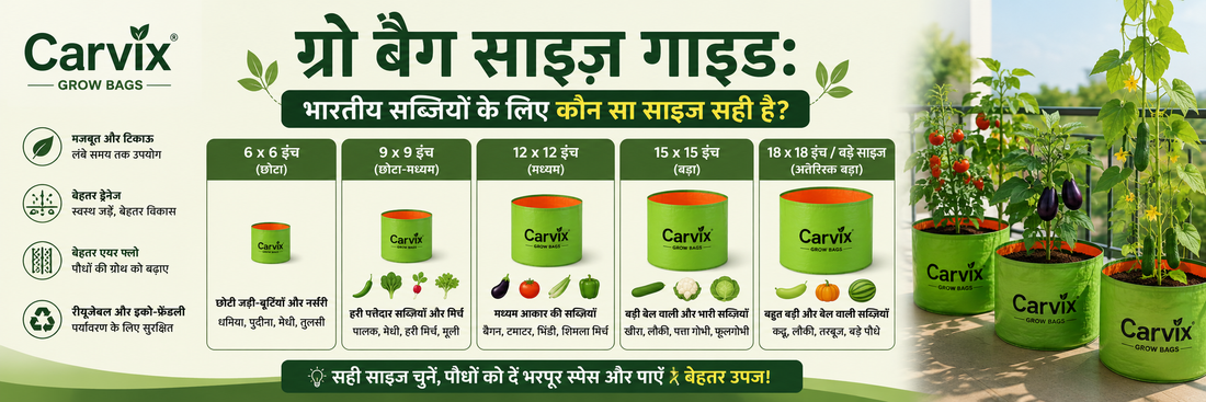 ग्रो बैग साइज़ गाइड भारतीय सब्ज़ियों के लिए कौन सा साइज़ सही है