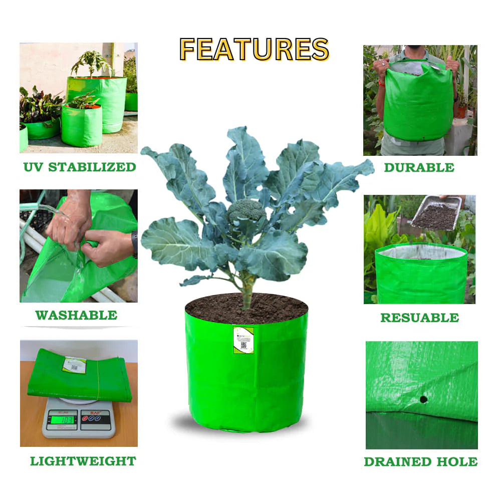 Carvix HDPE 10×10 Cylindrical Grow Bag – 260 GSM | UV-Stabilized Round Grow Bag for Vegetables & Flowers