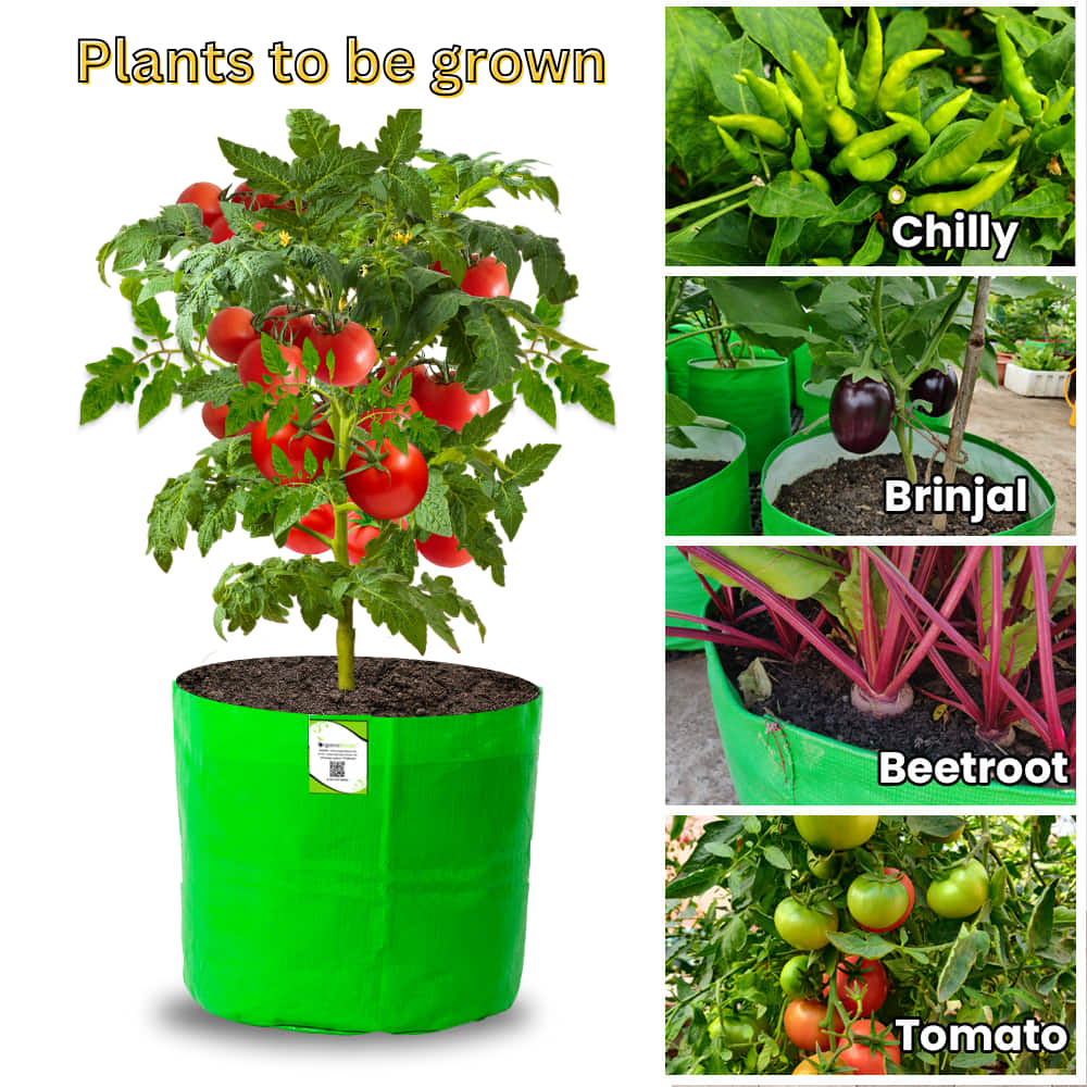 Carvix 12×12 HDPE Round Grow Bag