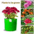 Carvix HDPE 10×10 Cylindrical Grow Bag – 260 GSM | UV-Stabilized Round Grow Bag for Vegetables & Flowers