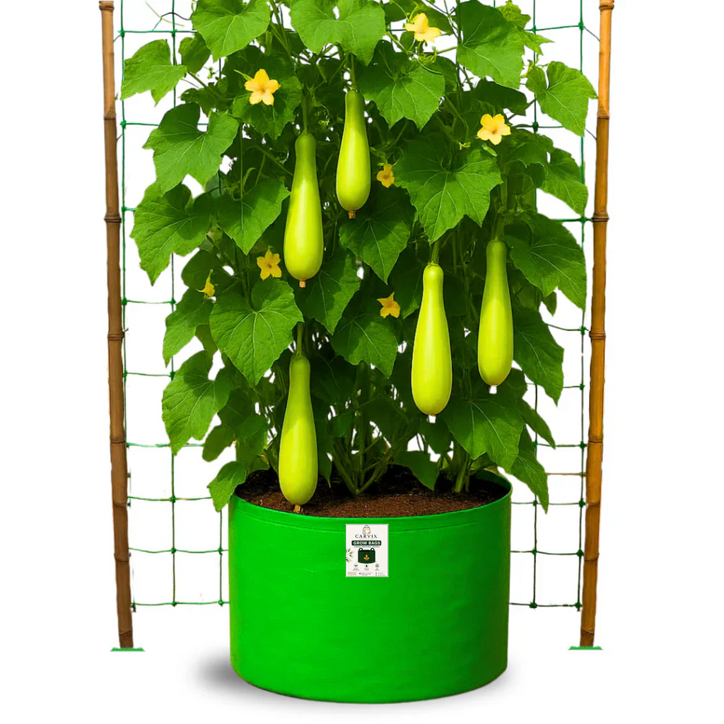 12x18 Grow Bag for Vegetables Garden, Premium HDPE 260 GSM, Green Plant Bags for Terrace Garden