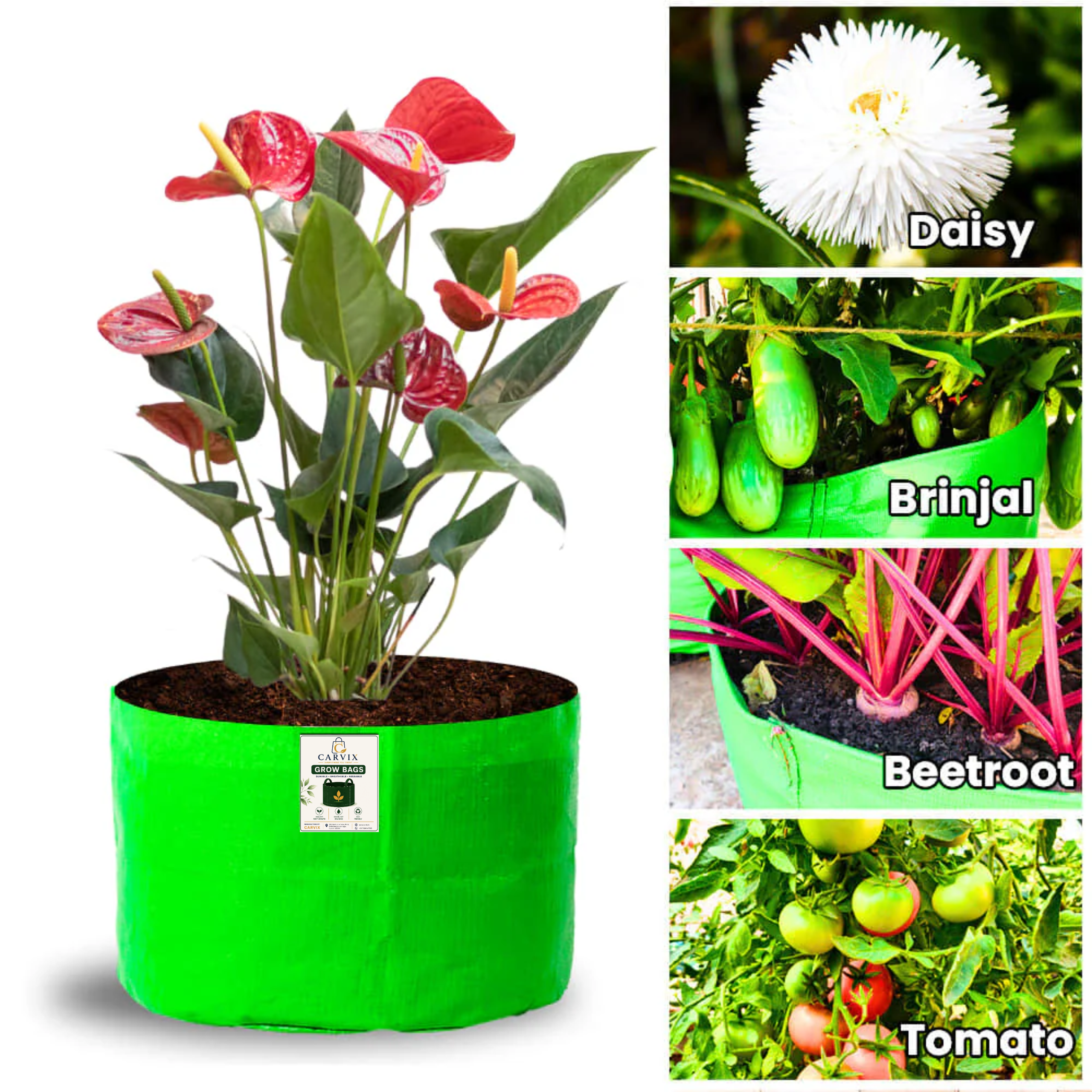 9x12 Grow Bag for Terrace Garden, Premium HDPE 260 GSM, Green Plant Bags