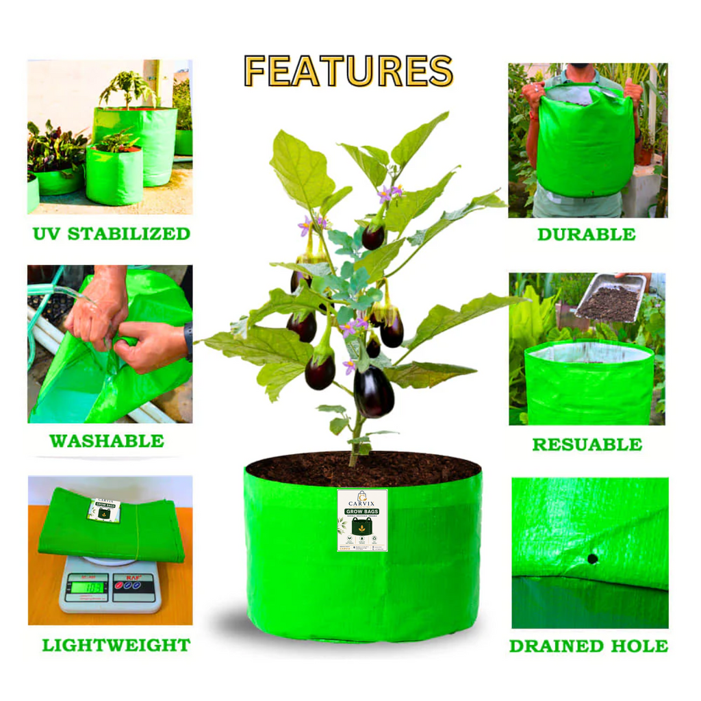 9x12 Grow Bag for Terrace Garden, Premium HDPE 260 GSM, Green Plant Bags