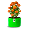 9x12 Grow Bag for Terrace Garden, Premium HDPE 260 GSM, Green Plant Bags