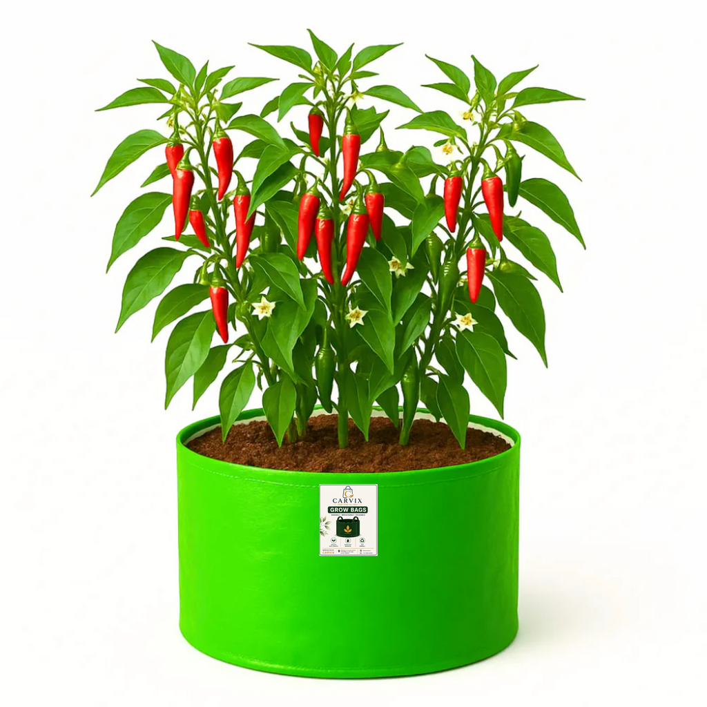 9x12 Grow Bag for Terrace Garden, Premium HDPE 260 GSM, Green Plant Bags