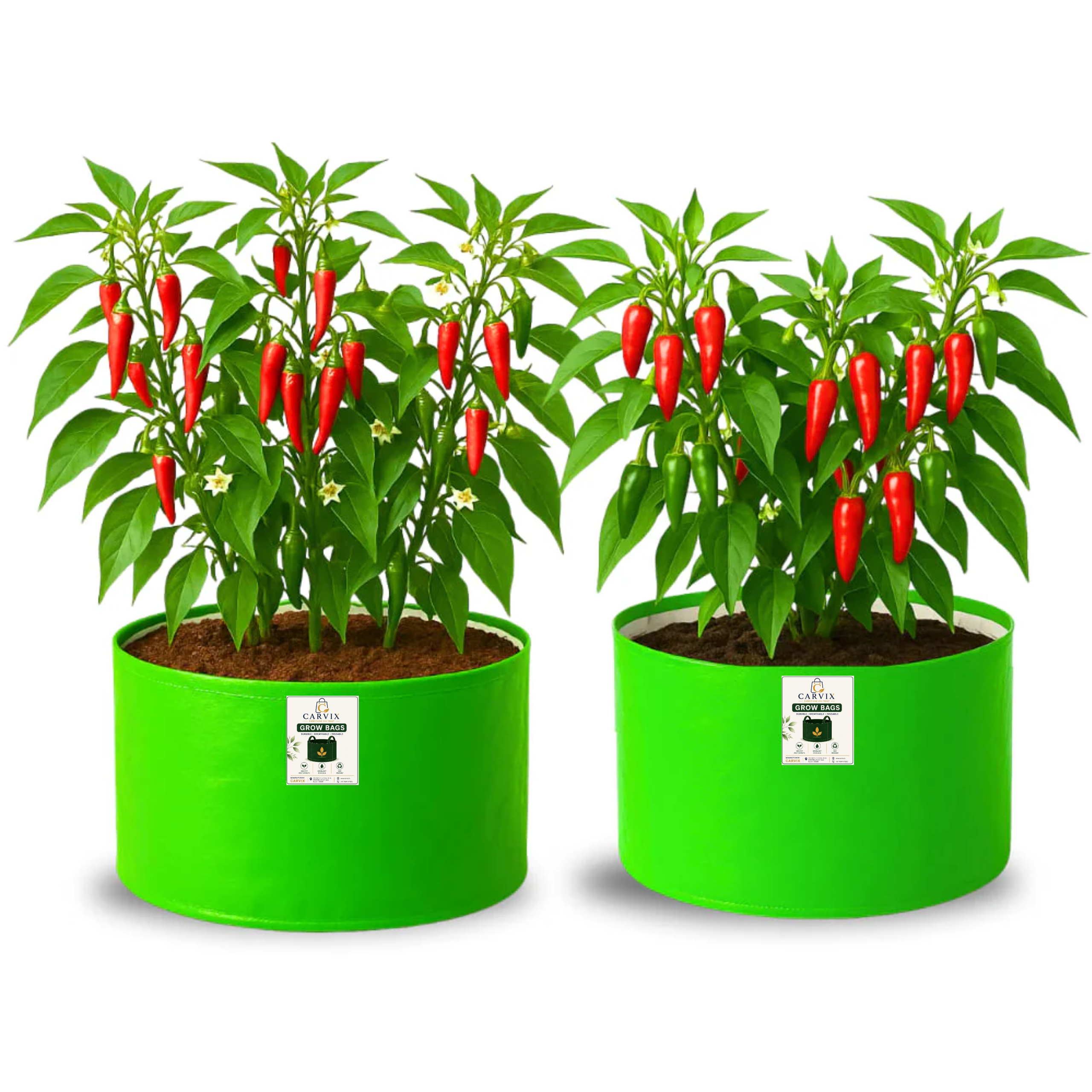 9x12 Grow Bag for Terrace Garden, Premium HDPE 260 GSM, Green Plant Bags