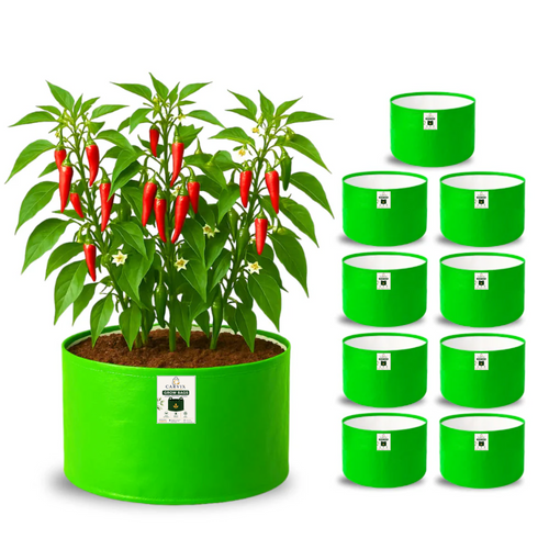 9x12 Grow Bag for Terrace Garden, Premium HDPE 260 GSM, Green Plant Bags