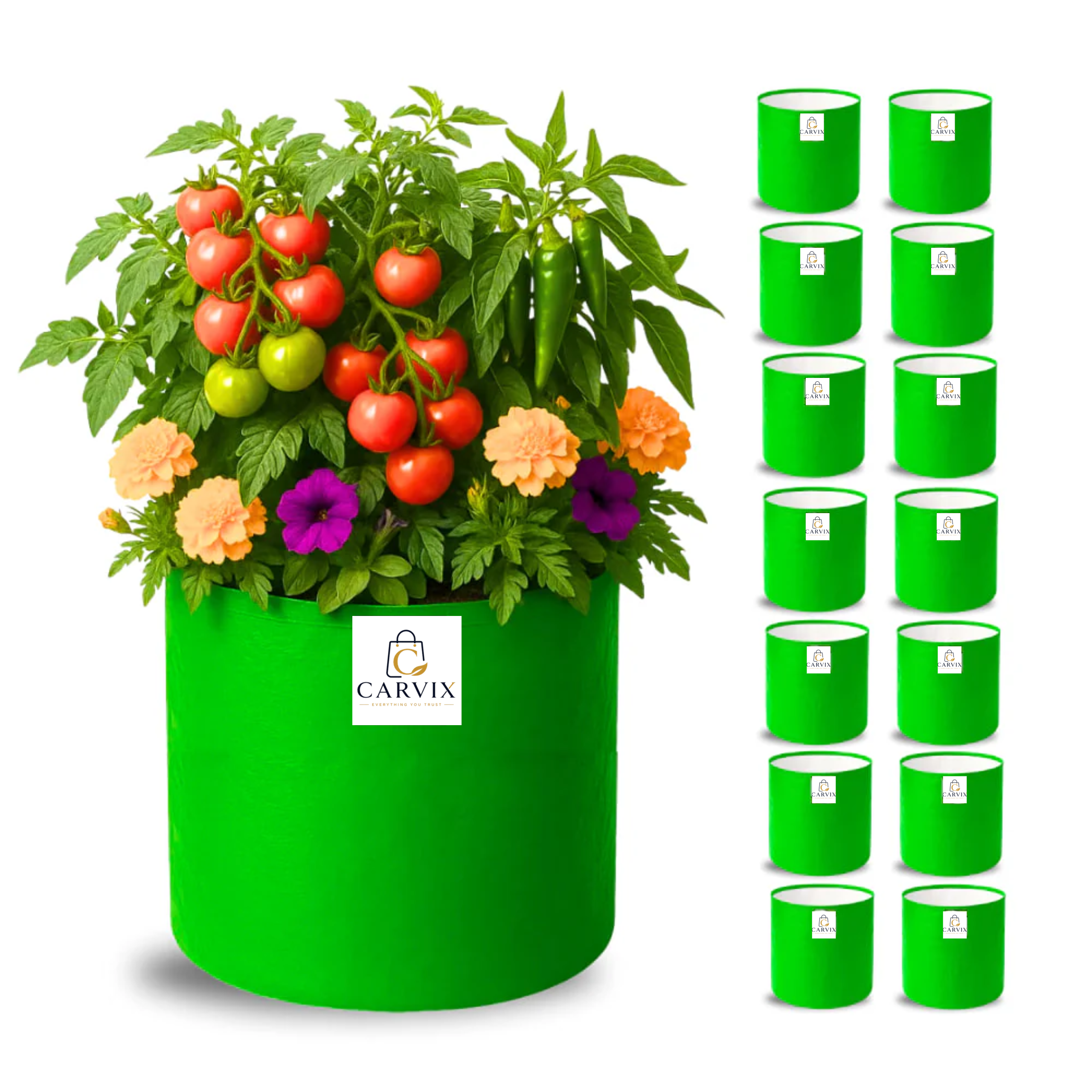 Carvix 12×12 HDPE Round Grow Bag