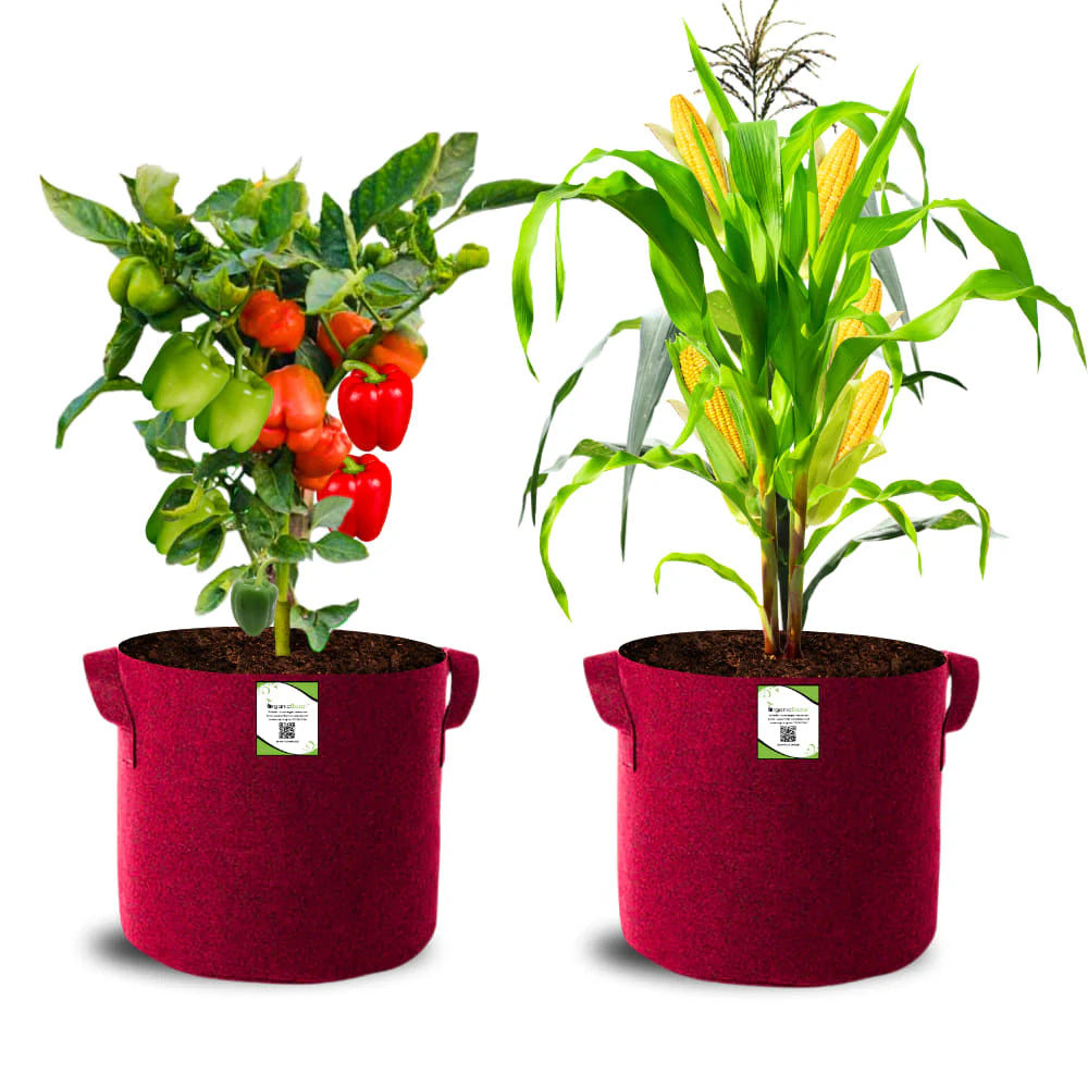 Carvix Geo Fabric 15x15 Grow Bag For Terrace Gardening Suitable For Vegetable and Flower Plants