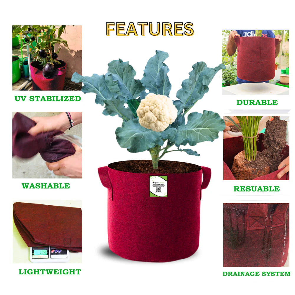 Carvix Geo Fabric 15x15 Grow Bag For Terrace Gardening Suitable For Vegetable and Flower Plants