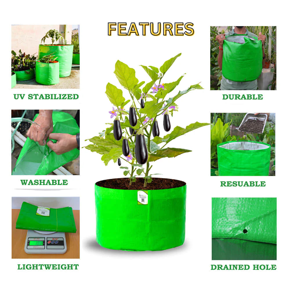 Carvix 18x12 Grow Bag for Vegetable Gardening, Premium HDPE 260 GSM, Green Plant Bags for Home Garden