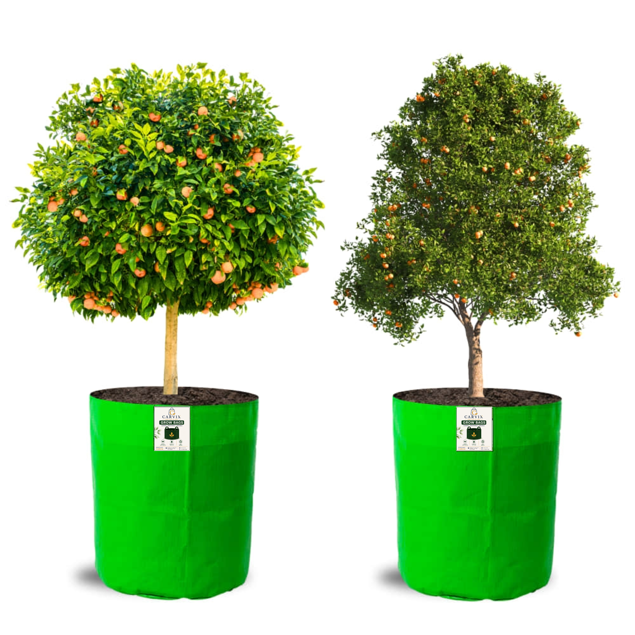 Carvix 18X24 Tree Grow Bag for Home Gardening, Premium HDPE 260 GSM Green Big Plant Bags