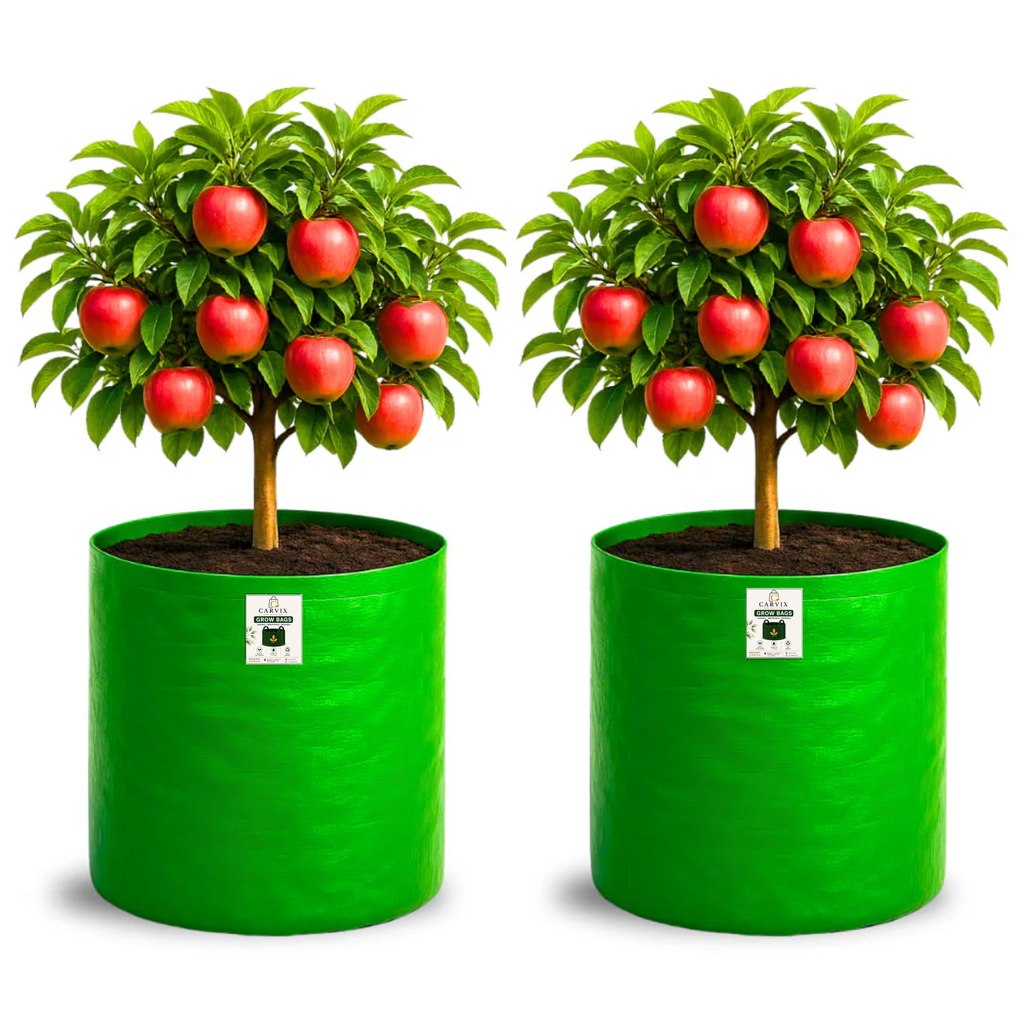 Carvix 18X24 Tree Grow Bag for Home Gardening, Premium HDPE 260 GSM Green Big Plant Bags