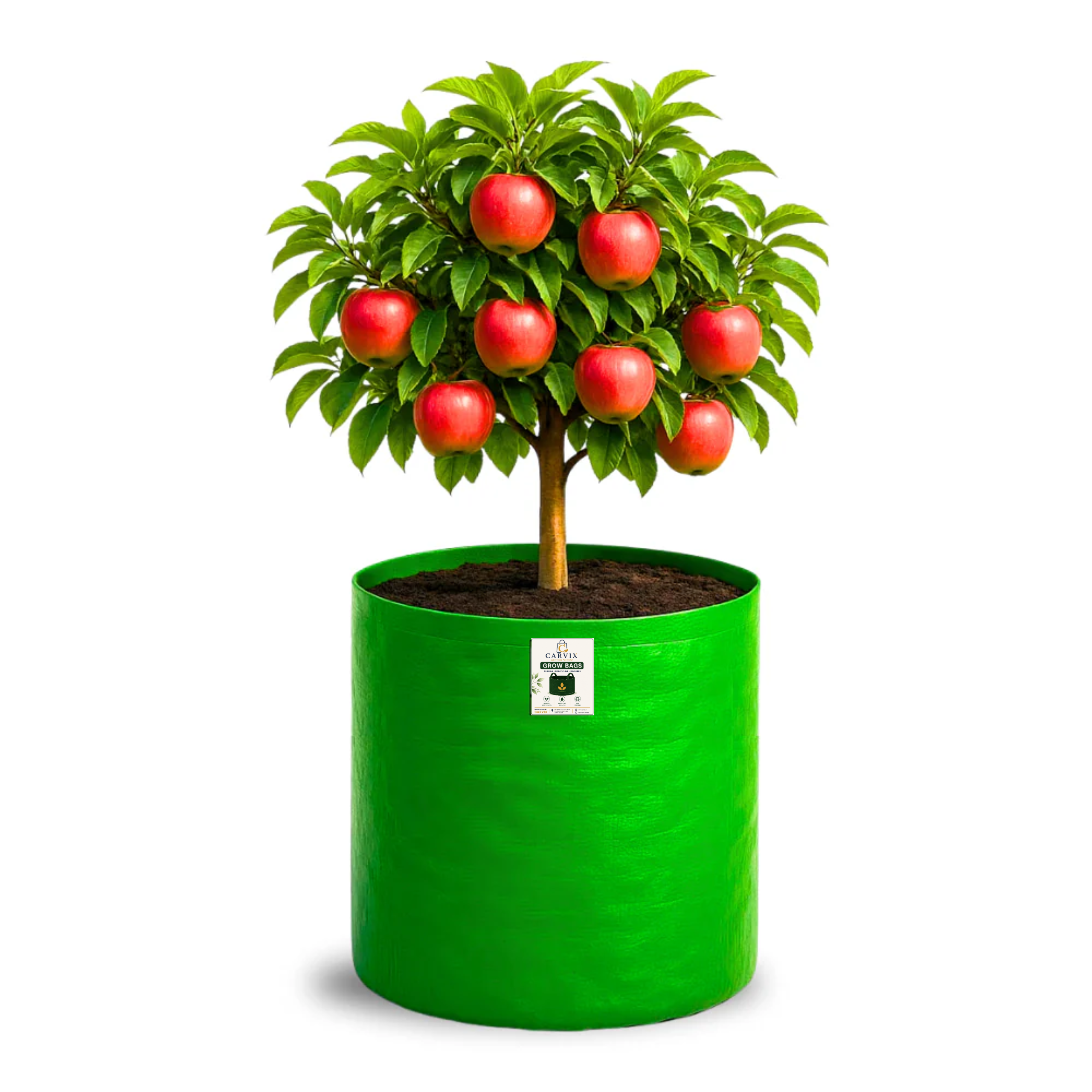 Carvix 18X24 Tree Grow Bag for Home Gardening, Premium HDPE 260 GSM Green Big Plant Bags