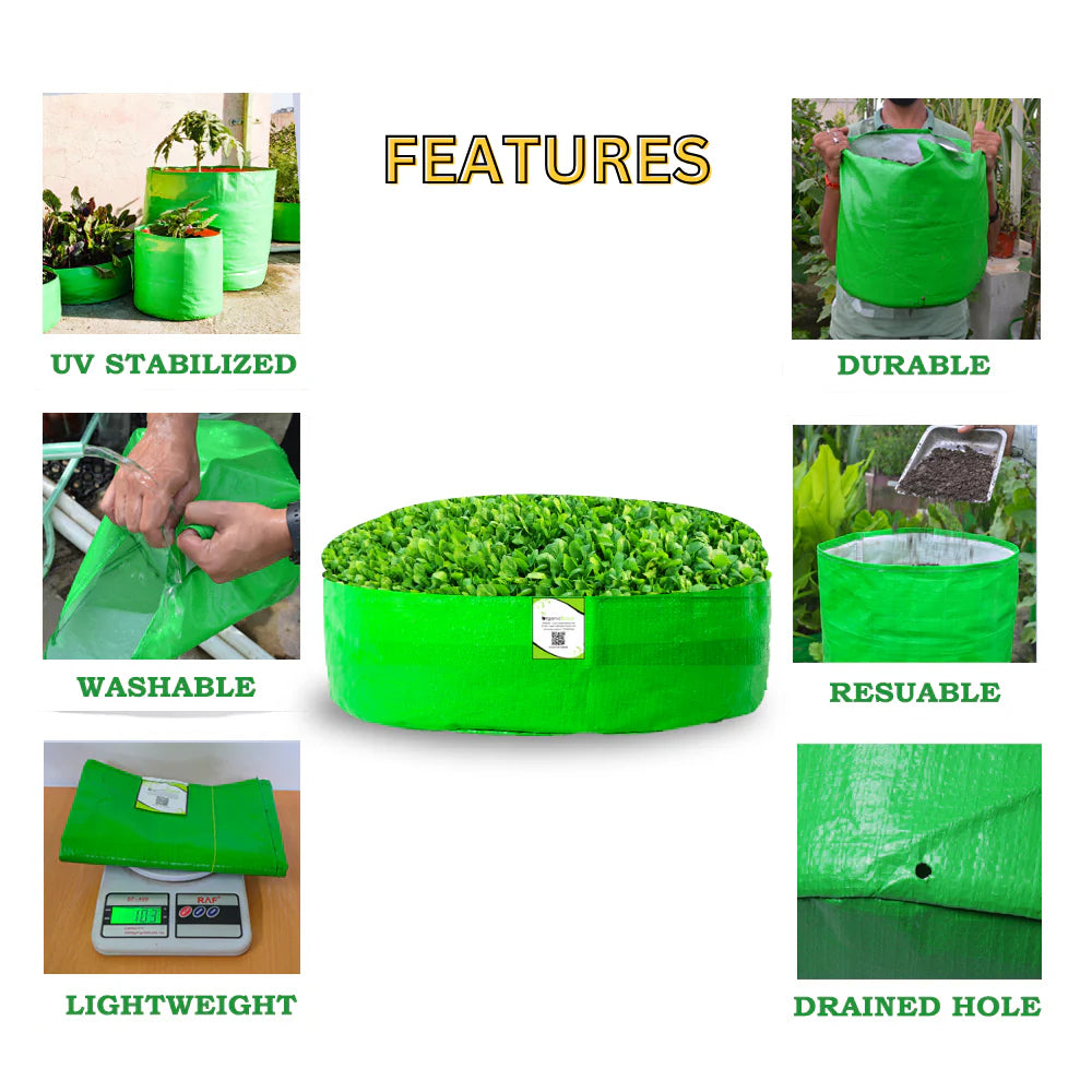 Carvix 18x6 Grow Bag for Leafy Vegetables, Premium HDPE 260 GSM, Green Plant Bags for Terrace Garden