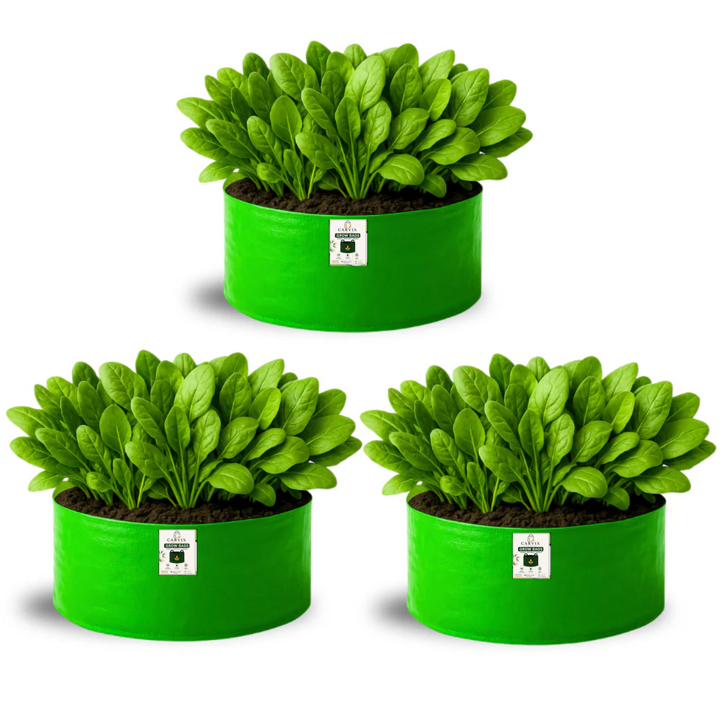 Carvix 18x9 Grow Bag for Leafy Vegetables, Premium HDPE 260 GSM, Green Plant Bags for Terrace Garden