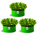 Carvix 18x9 Grow Bag for Leafy Vegetables, Premium HDPE 260 GSM, Green Plant Bags for Terrace Garden