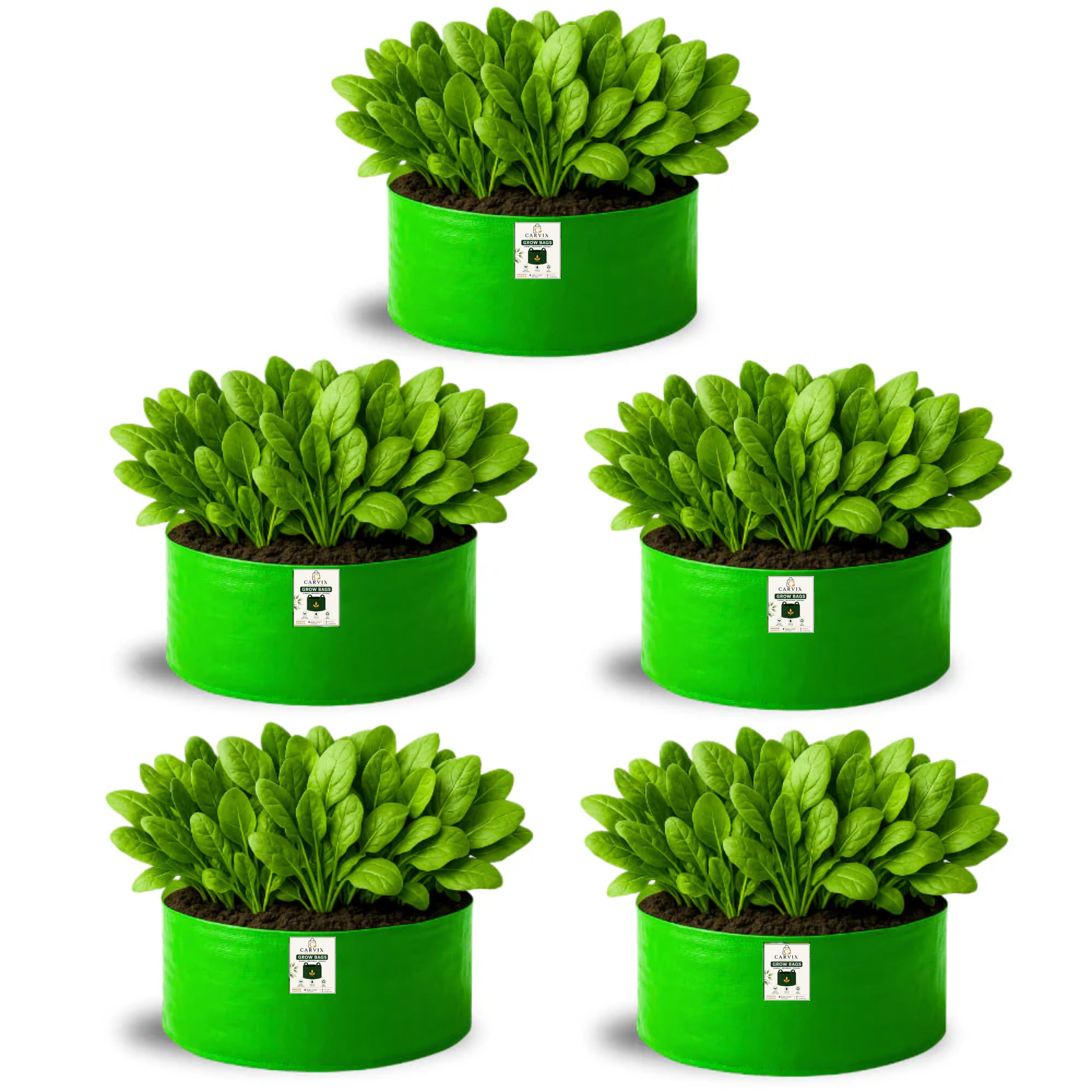 Carvix 18x9 Grow Bag for Leafy Vegetables, Premium HDPE 260 GSM, Green Plant Bags for Terrace Garden