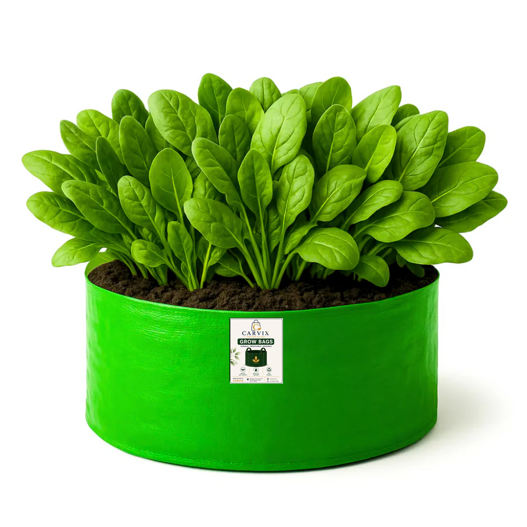 Carvix 18x9 Grow Bag for Leafy Vegetables, Premium HDPE 260 GSM, Green Plant Bags for Terrace Garden