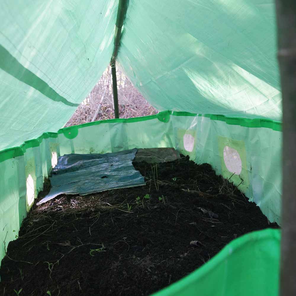 Carvix Vermibed-10x4x1.5 For Making Vermicompost