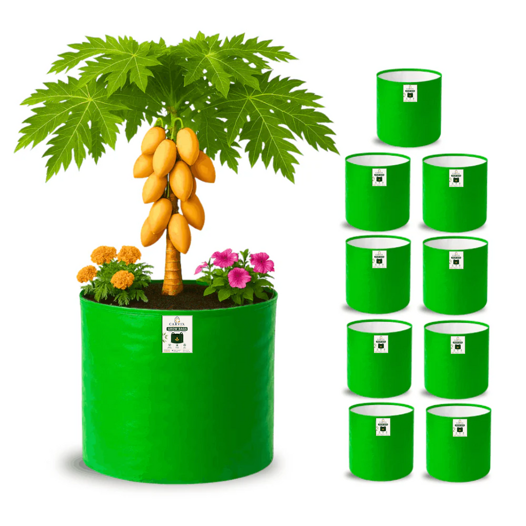Carvix 21x21 Big Size Grow Bags for Terrace Gardening, Premium HDPE 260 GSM Green Plant Bag for Fruit Tree