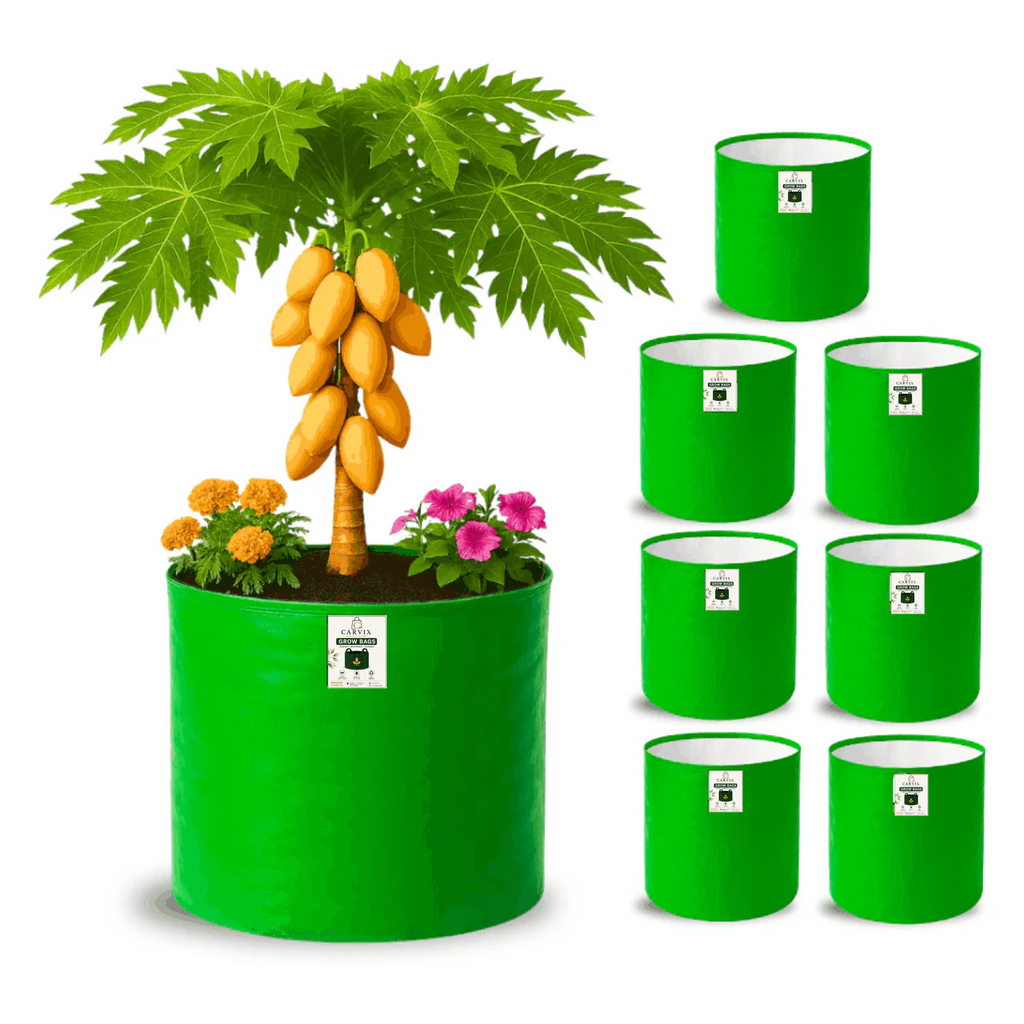 Carvix 21x21 Big Size Grow Bags for Terrace Gardening, Premium HDPE 260 GSM Green Plant Bag for Fruit Tree