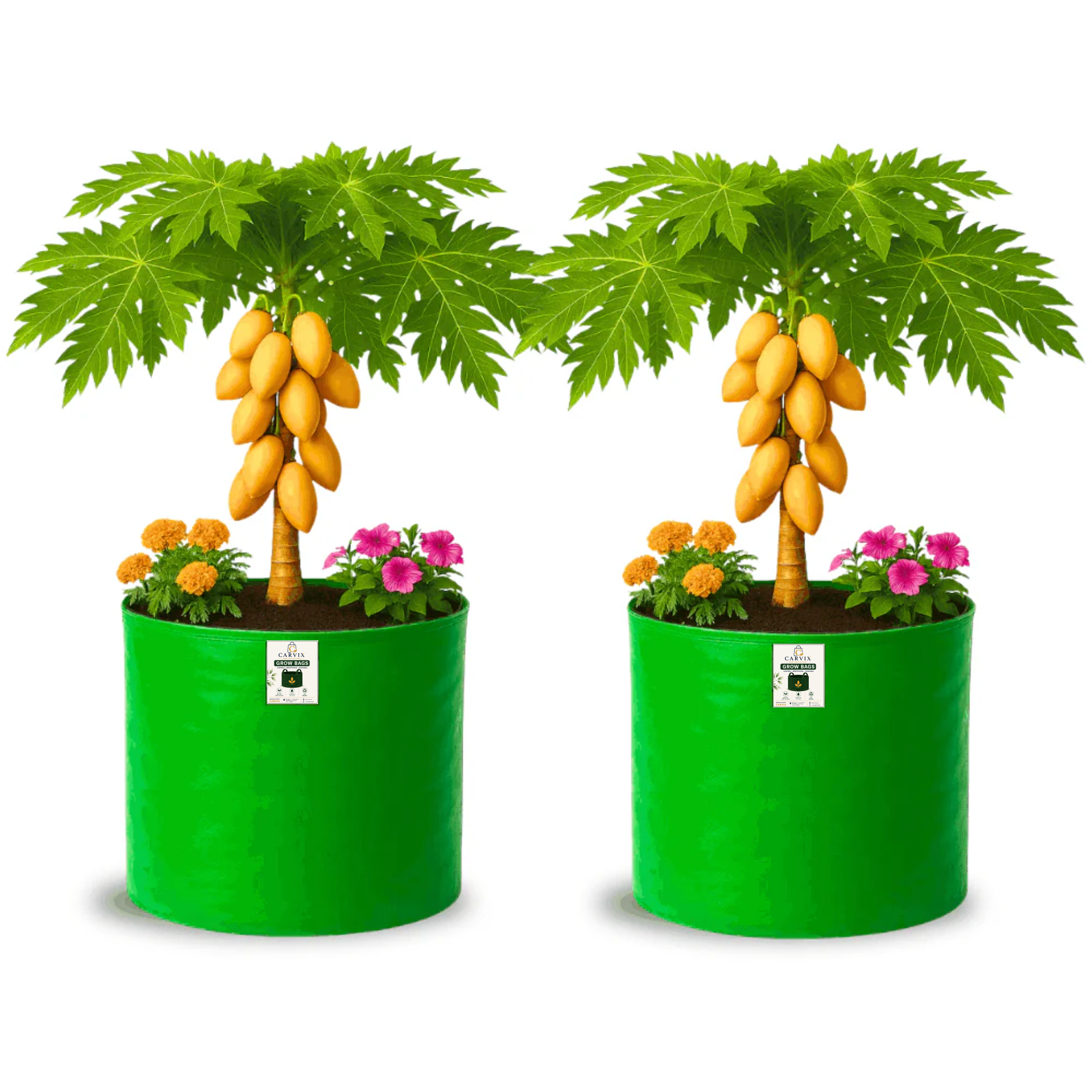 Carvix 21x21 Big Size Grow Bags for Terrace Gardening, Premium HDPE 260 GSM Green Plant Bag for Fruit Tree