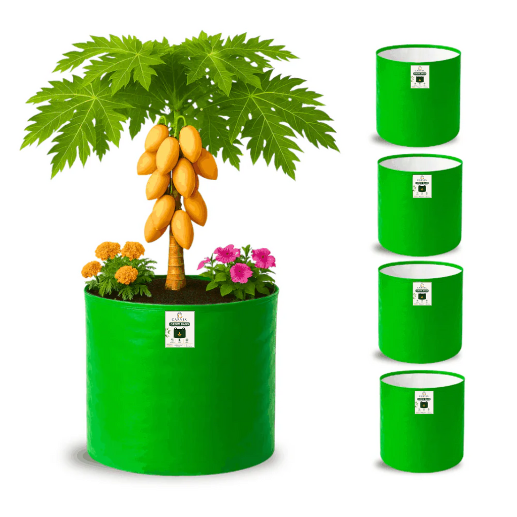 Carvix 21x21 Big Size Grow Bags for Terrace Gardening, Premium HDPE 260 GSM Green Plant Bag for Fruit Tree