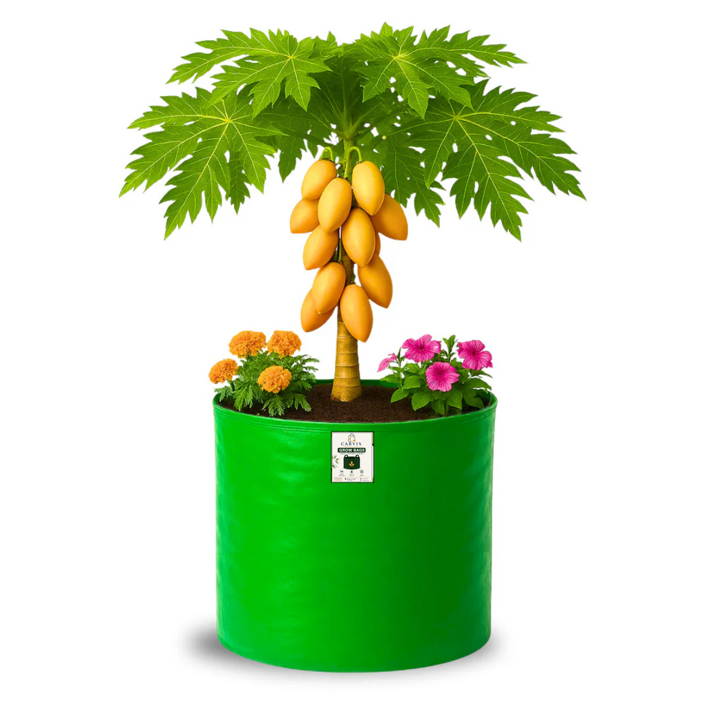 Carvix 21x21 Big Size Grow Bags for Terrace Gardening, Premium HDPE 260 GSM Green Plant Bag for Fruit Tree
