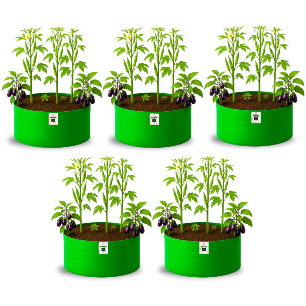 Carvix 24x12 Big Size Grow Bags for Home and Terrace Garden, Premium HDPE 260 GSM Green Plant Bag