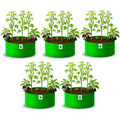 Carvix 24x12 Big Size Grow Bags for Home and Terrace Garden, Premium HDPE 260 GSM Green Plant Bag