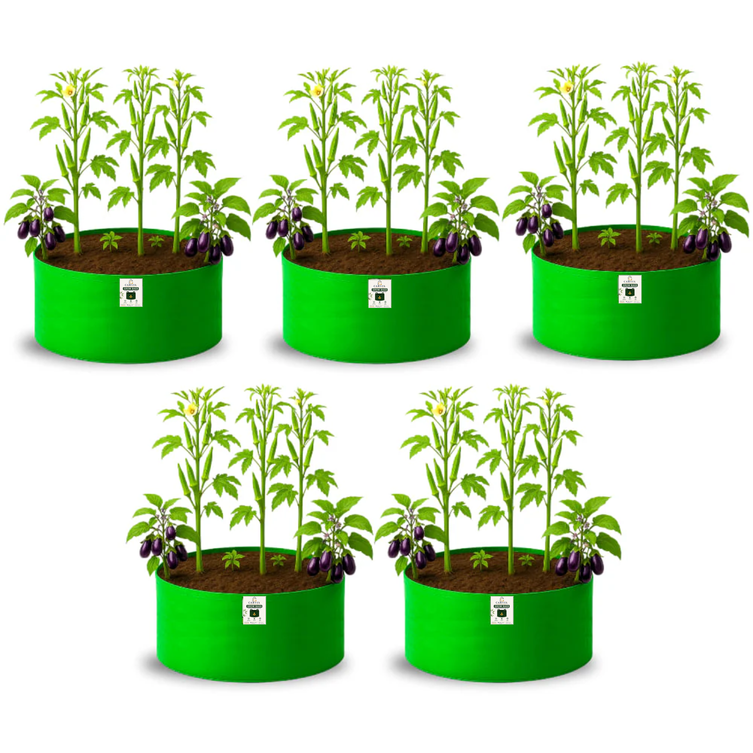 Carvix 24x12 Big Size Grow Bags for Home and Terrace Garden, Premium HDPE 260 GSM Green Plant Bag