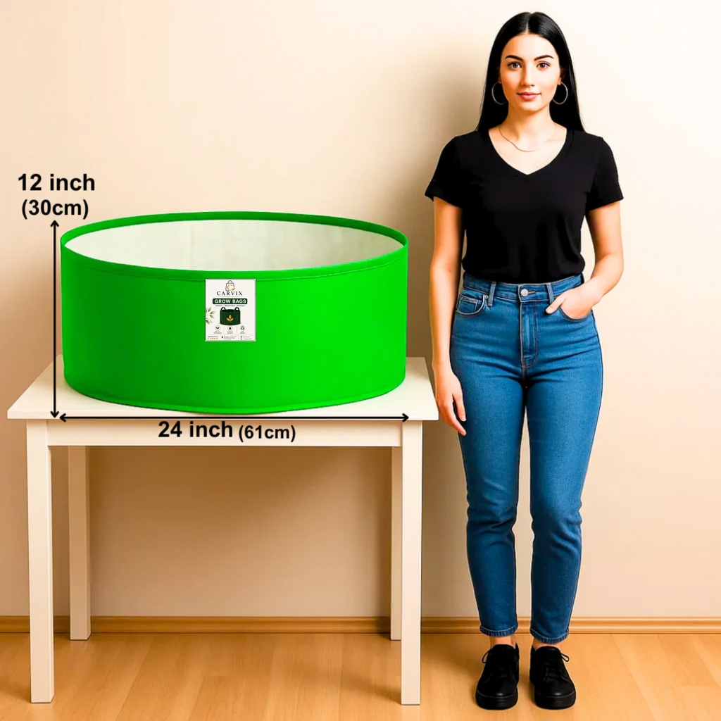 Carvix 24x12 Big Size Grow Bags for Home and Terrace Garden, Premium HDPE 260 GSM Green Plant Bag