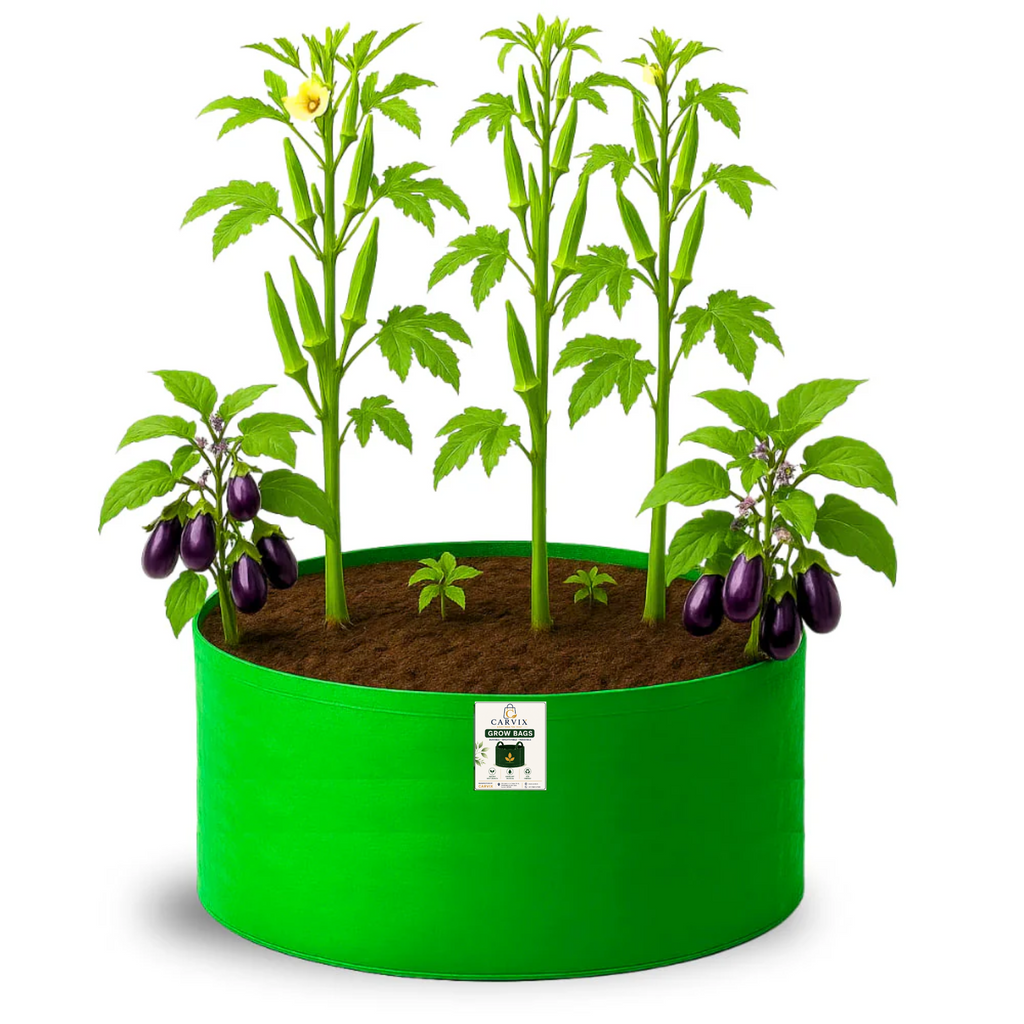 Carvix 24x12 Big Size Grow Bags for Home and Terrace Garden, Premium HDPE 260 GSM Green Plant Bag