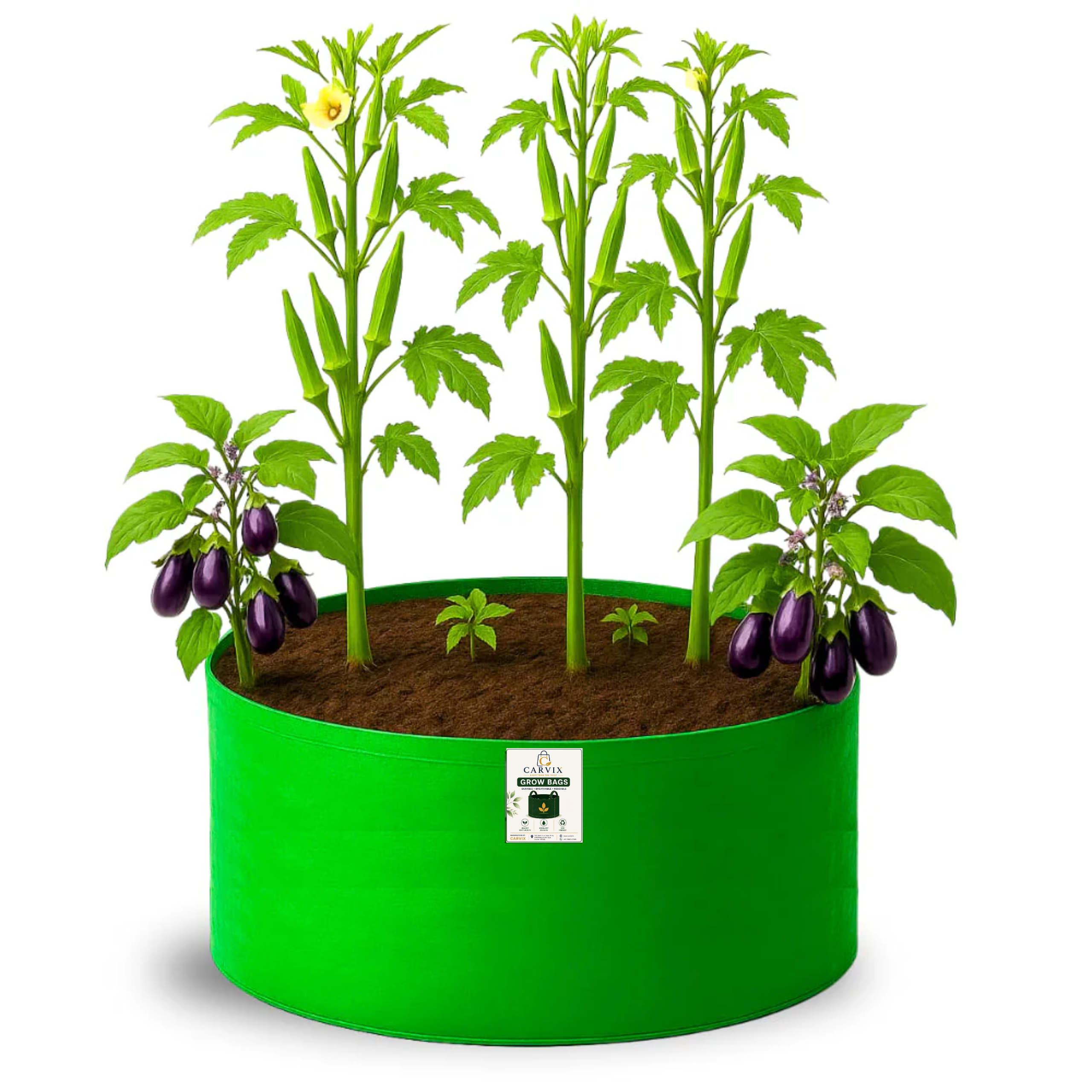 Carvix 24x12 Big Size Grow Bags for Home and Terrace Garden, Premium HDPE 260 GSM Green Plant Bag