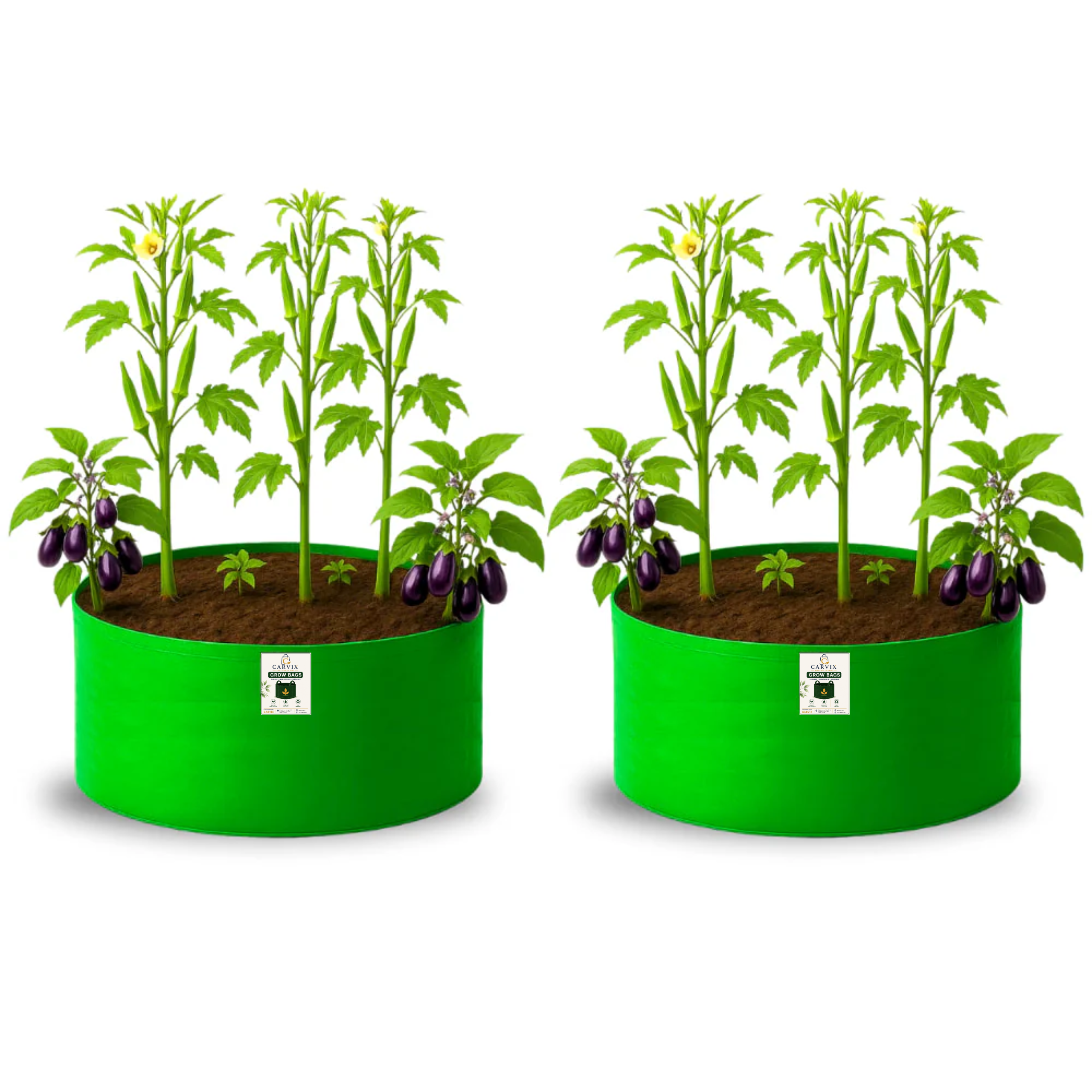 Carvix 24x12 Big Size Grow Bags for Home and Terrace Garden, Premium HDPE 260 GSM Green Plant Bag