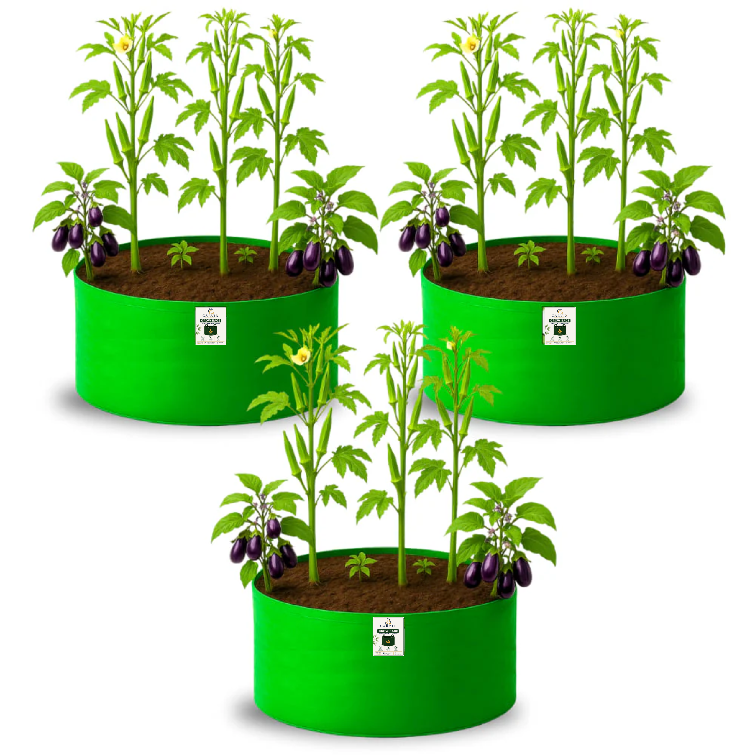 Carvix 24x12 Big Size Grow Bags for Home and Terrace Garden, Premium HDPE 260 GSM Green Plant Bag