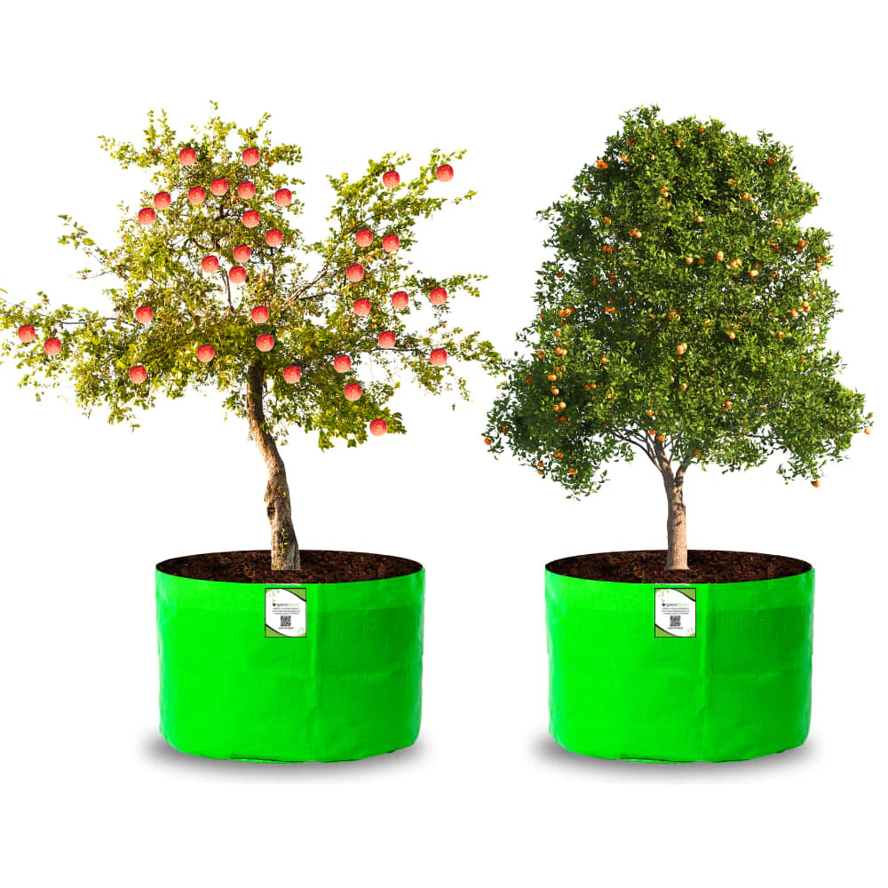 HDPE 24x18 Large Grow Bags for Terrace Gardening Extra Thick Premium Quality Grow Bags