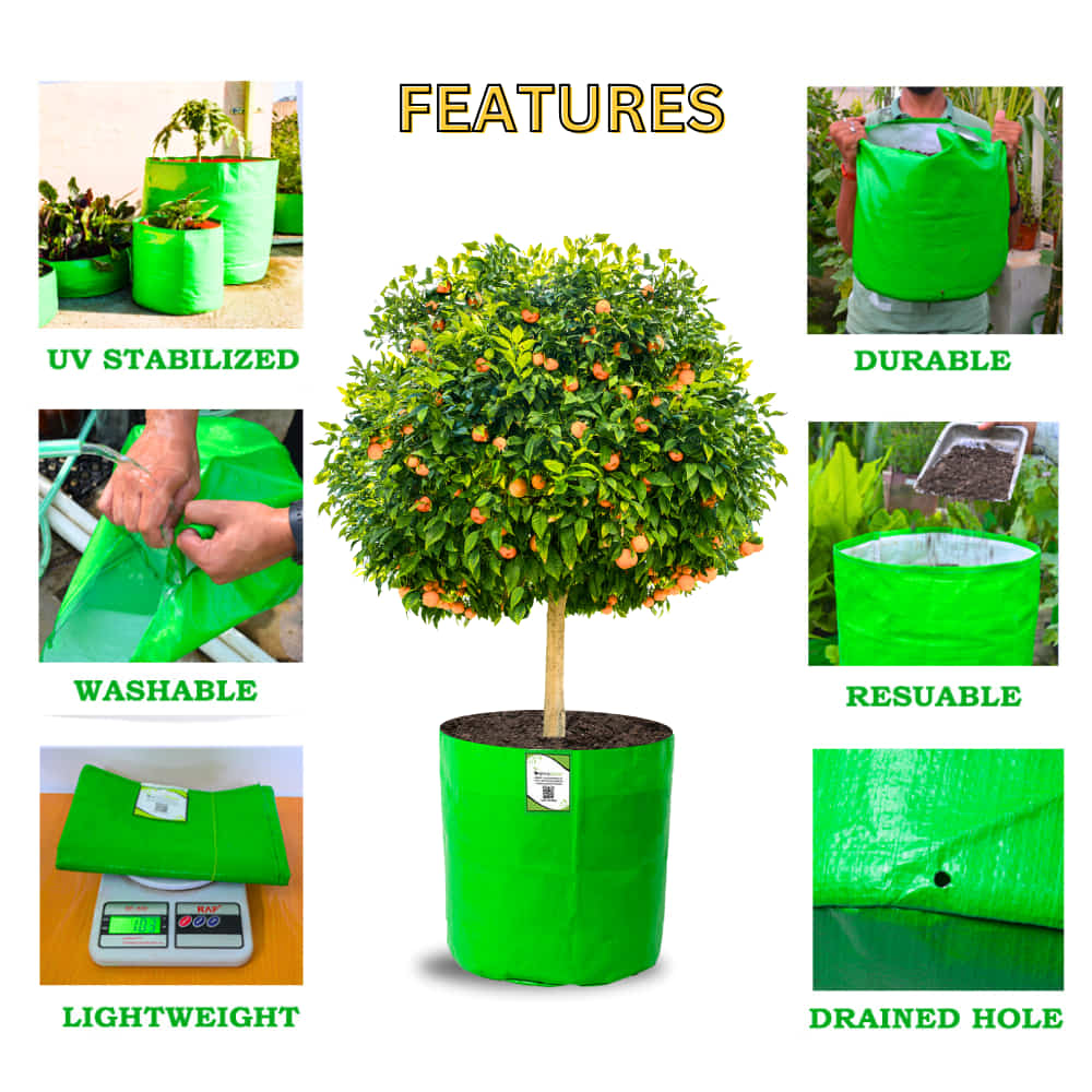 Carvix HDPE 24x24 Big Size Grow Bags for Home Gardening | Plants Bags for Fruits, Vegetables, & Flowers | Round Green Planting Bags | 260 GSM Garden Growing Bag
