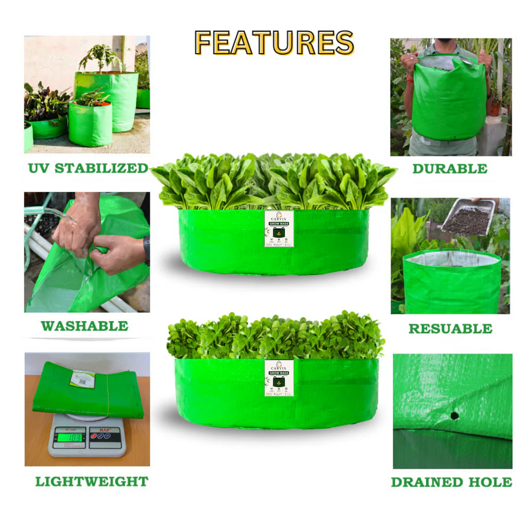 Carvix 24x6 Grow Bag for Leafy Vegetables, Premium HDPE 260 GSM, Green Plant Bags for Terrace Garden