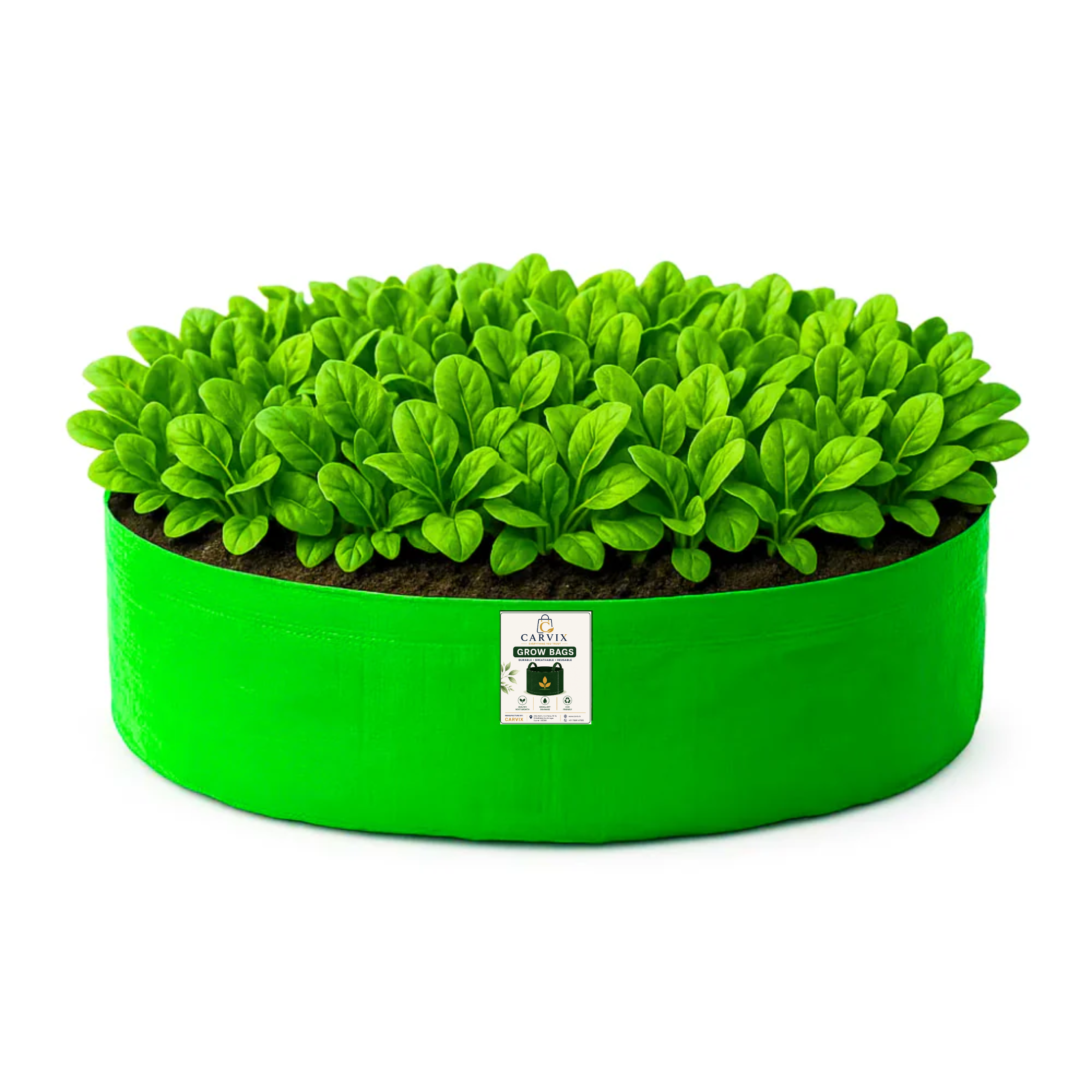 Carvix 24x6 Grow Bag for Leafy Vegetables, Premium HDPE 260 GSM, Green Plant Bags for Terrace Garden