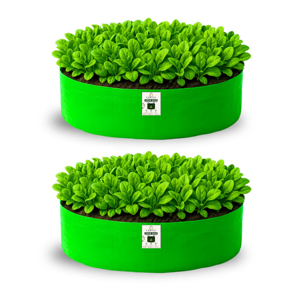 Carvix 24x6 Grow Bag for Leafy Vegetables, Premium HDPE 260 GSM, Green Plant Bags for Terrace Garden