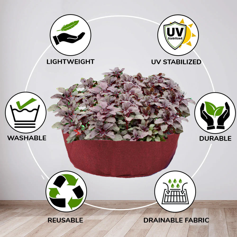 Carvix Geo Fabric 24x9 Grow Bag For Terrace Gardening Suitable For Leafy Vegetable and Flower Plants