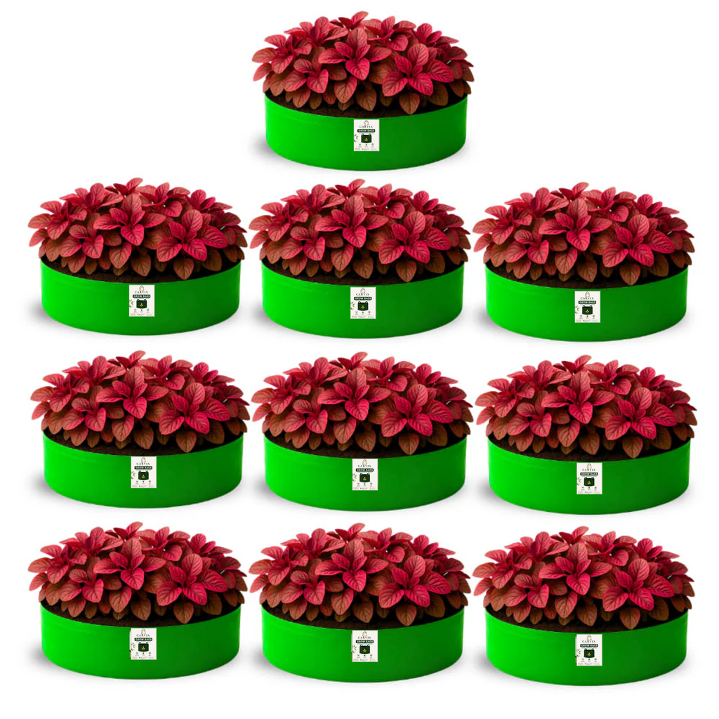 Carvix 24x9 Grow Bag for Leafy Vegetables, Premium HDPE 260 GSM, Green Plant Bags for Terrace Garden