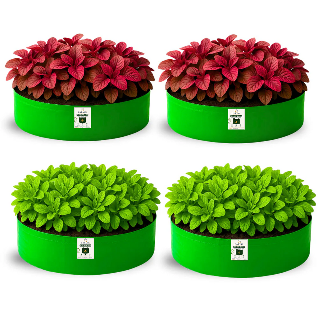 Carvix 24x9 Grow Bag for Leafy Vegetables, Premium HDPE 260 GSM, Green Plant Bags for Terrace Garden