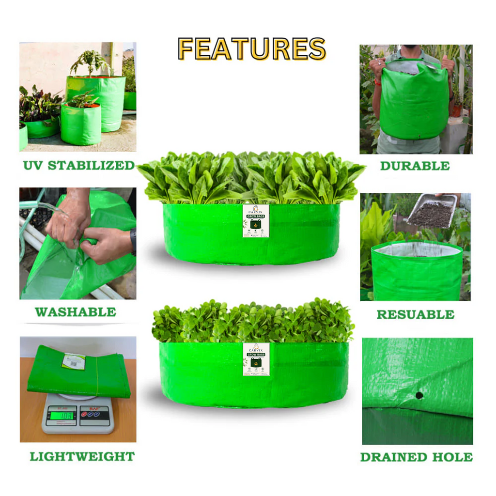 Carvix 24x9 Grow Bag for Leafy Vegetables, Premium HDPE 260 GSM, Green Plant Bags for Terrace Garden